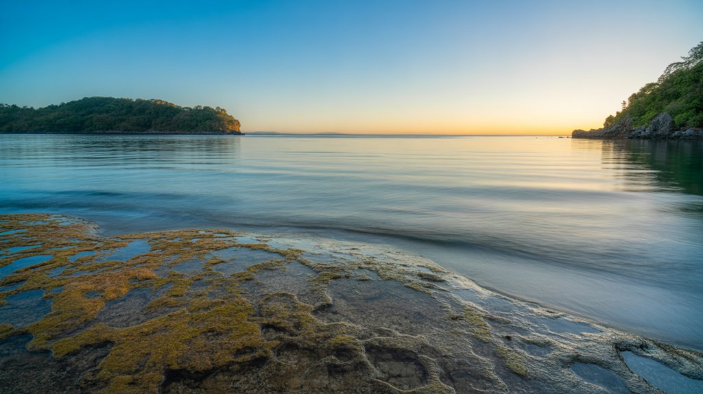 best macro diving spots