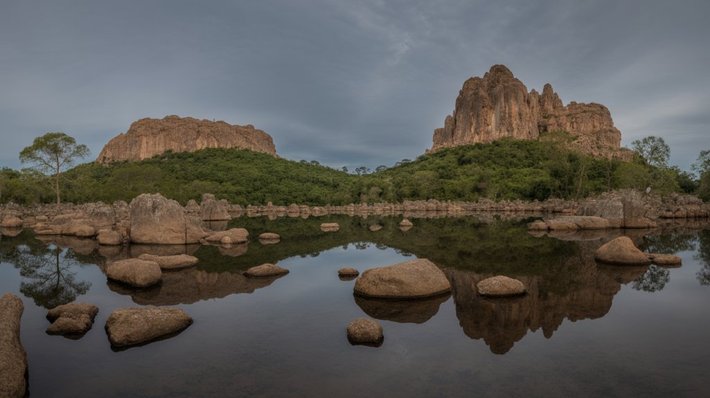 biodiversity in garajonay national park