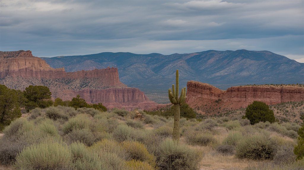 breathtaking landscapes and creativity