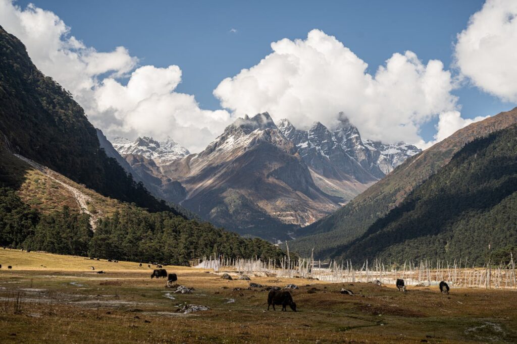 11 Beautiful Places in India’s Nature to Reconnect