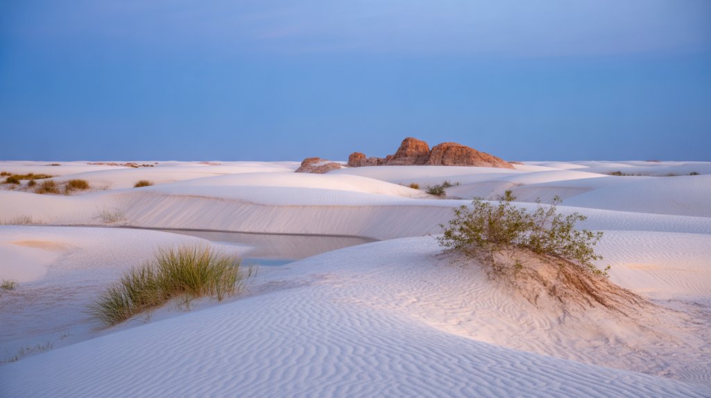 surreal dunes and creativity