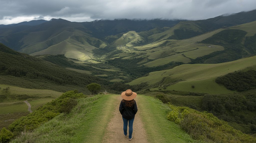 tall palms breathtaking hikes
