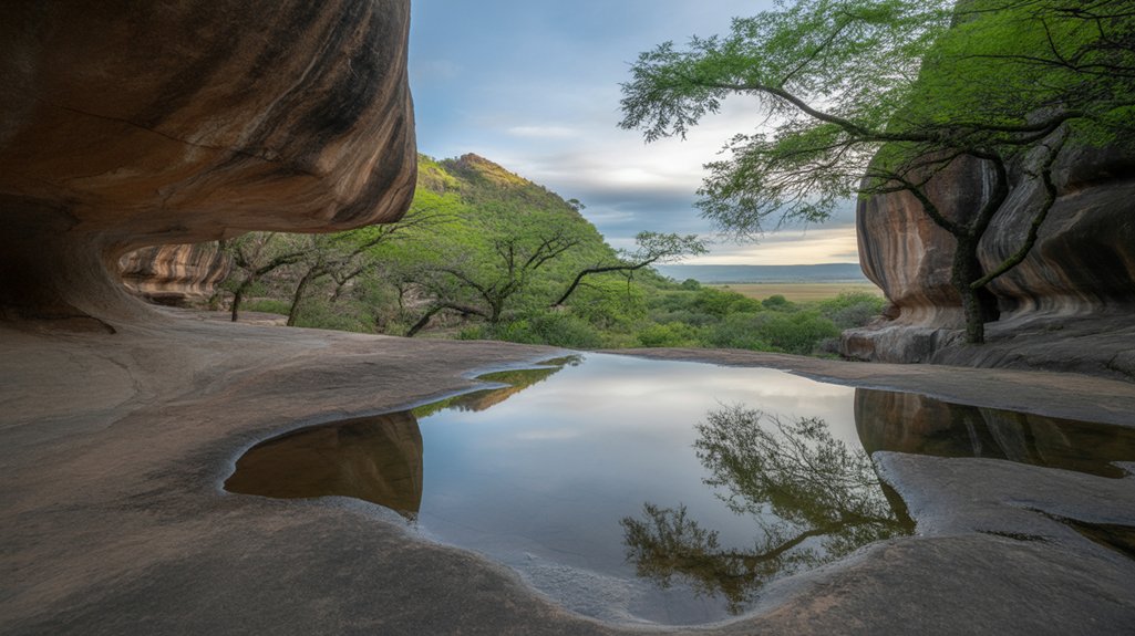 wildlife conservation in tranquility