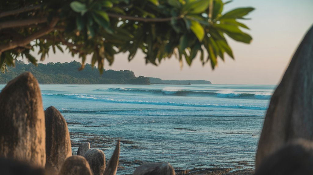 year round perfect surfing conditions