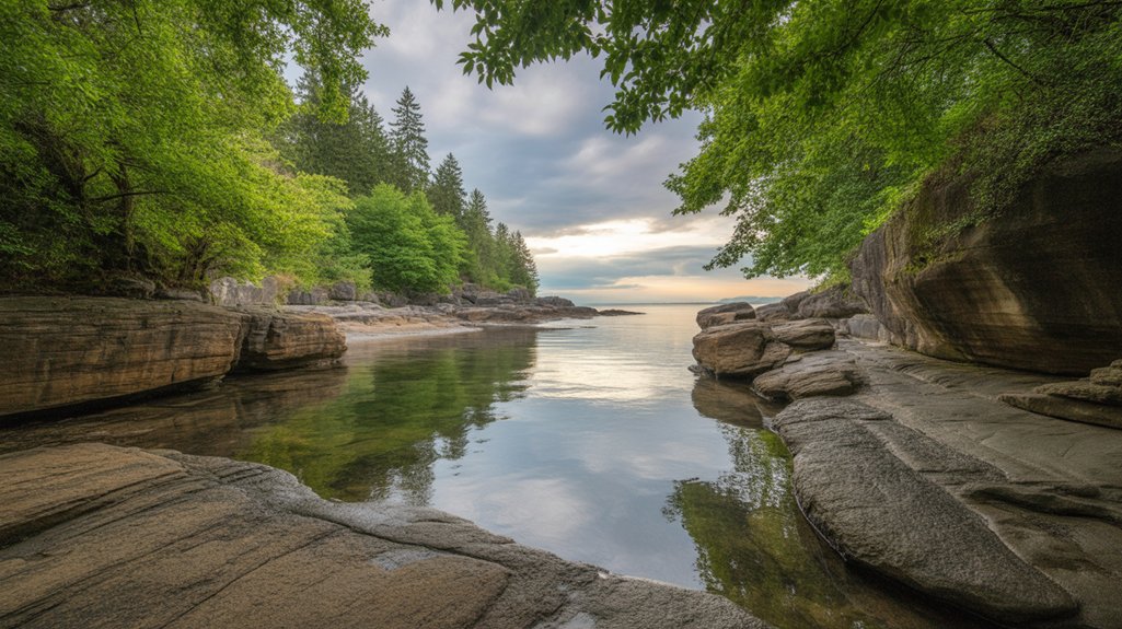 birdwatching and nature relaxation