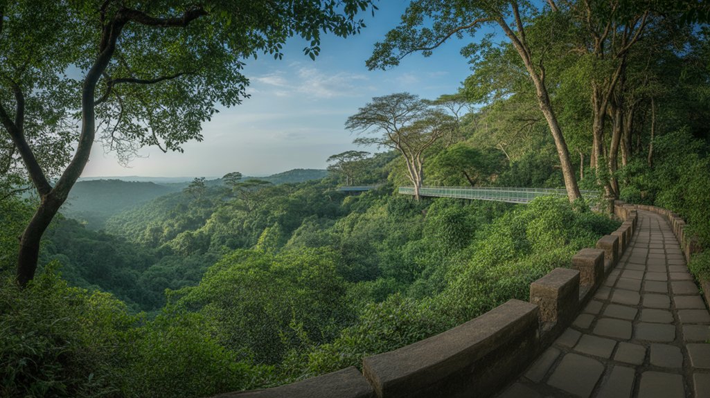 canopy walkway adventure awaits