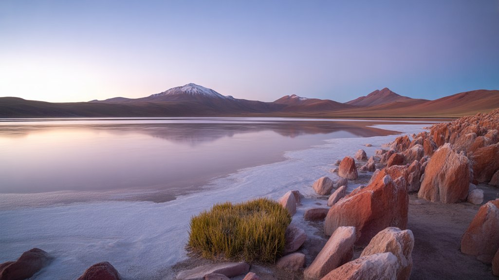 laguna colorada s vibrant beauty