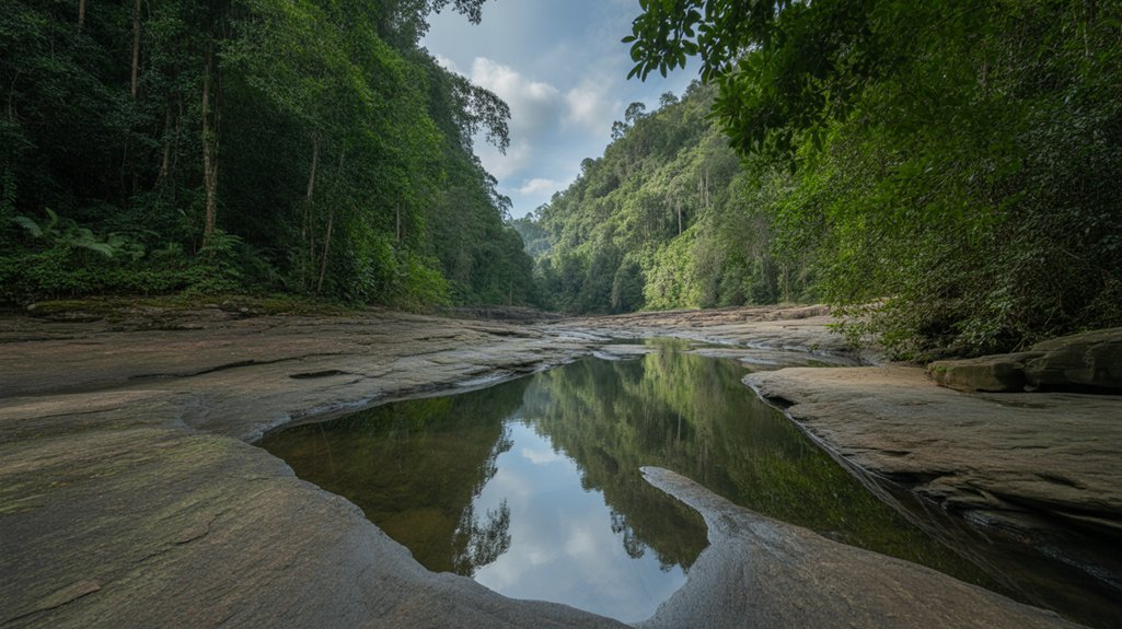 maliau basin s biodiverse wilderness