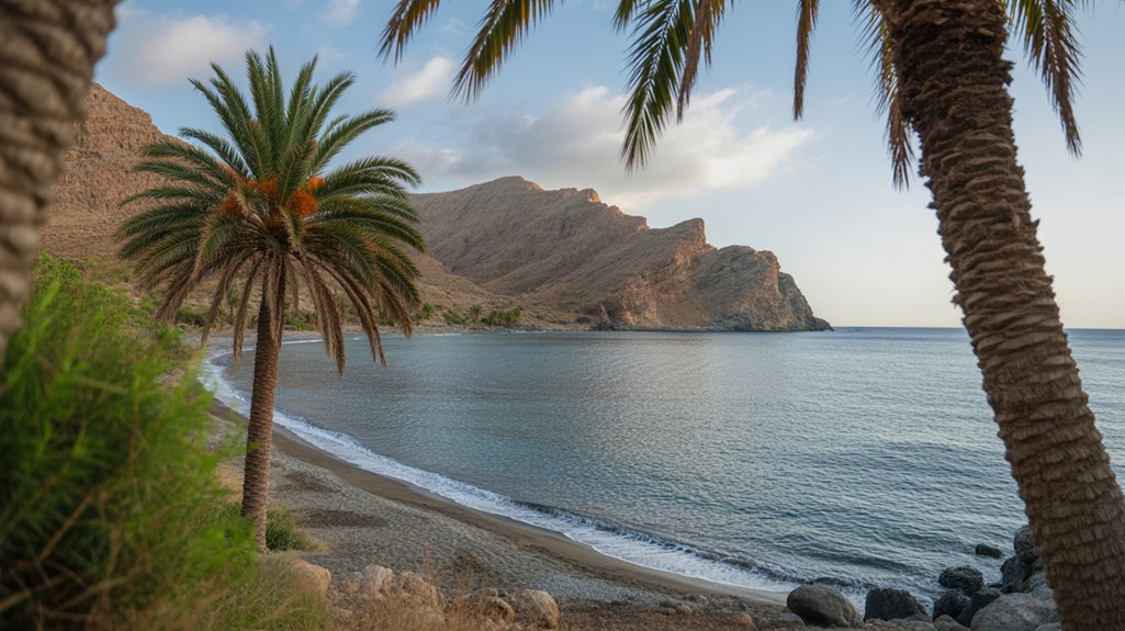 paradise retreat with palms