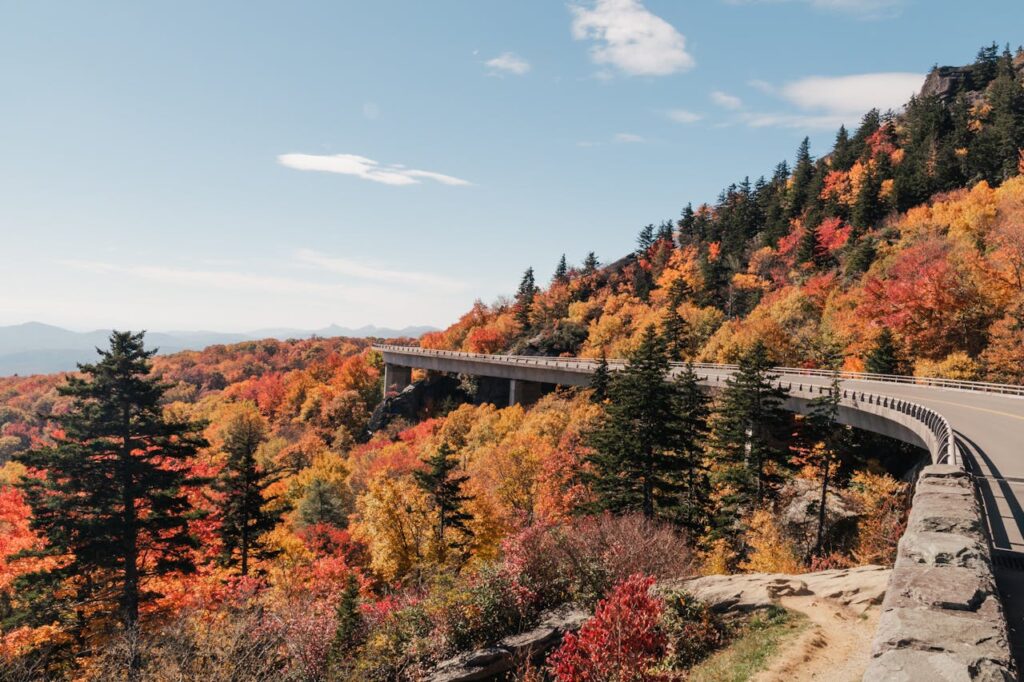 2-Week Cross Country Road Trip Itinerary: USA Tour