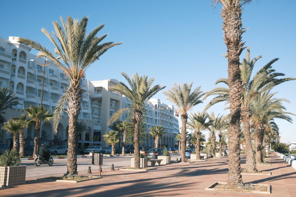 Tunisia Travel Itinerary: Sahara to Mediterranean Coast