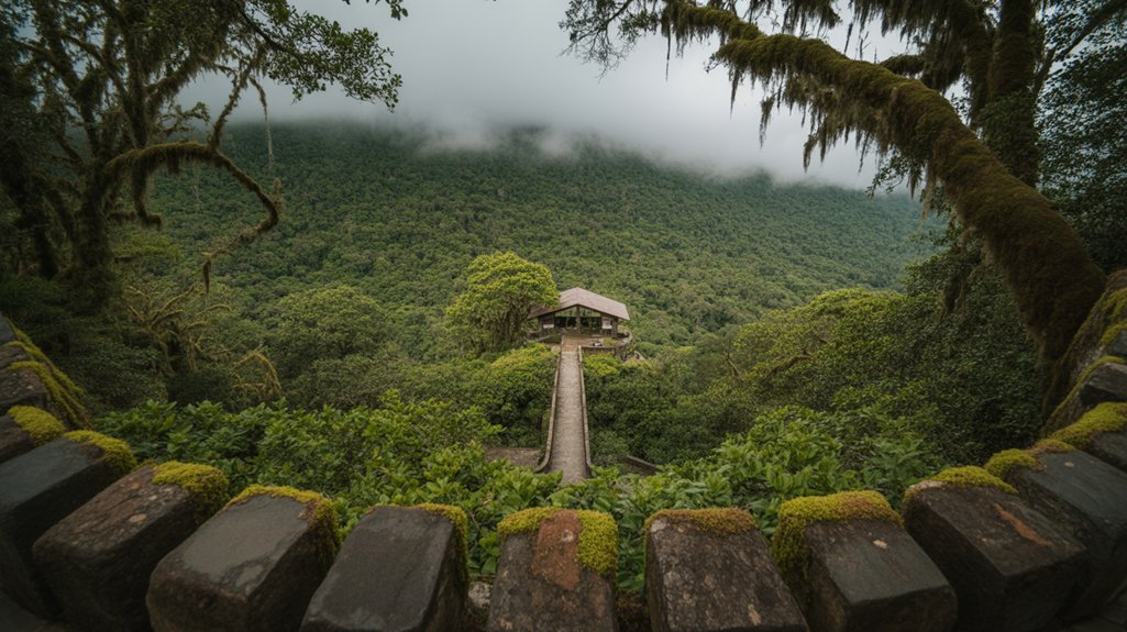 rare wildlife cloud forest