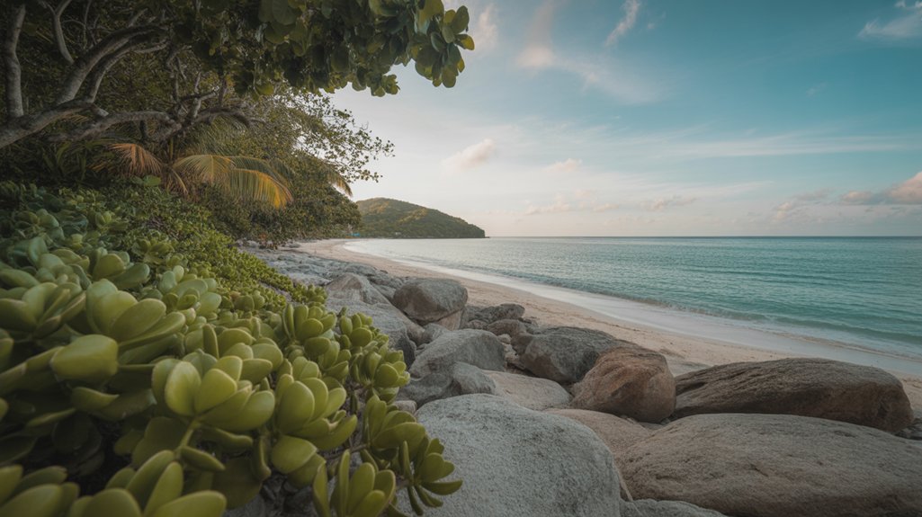 safe beach enjoyment tips
