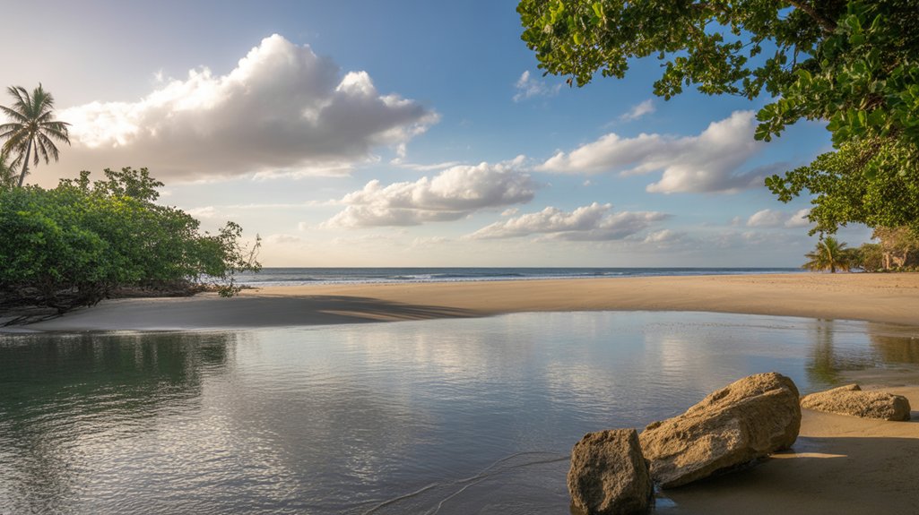 serene beach escape experience