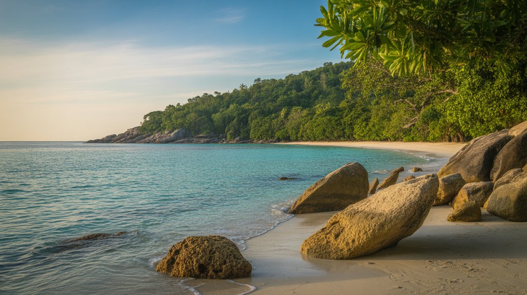 snorkeling and conservation efforts