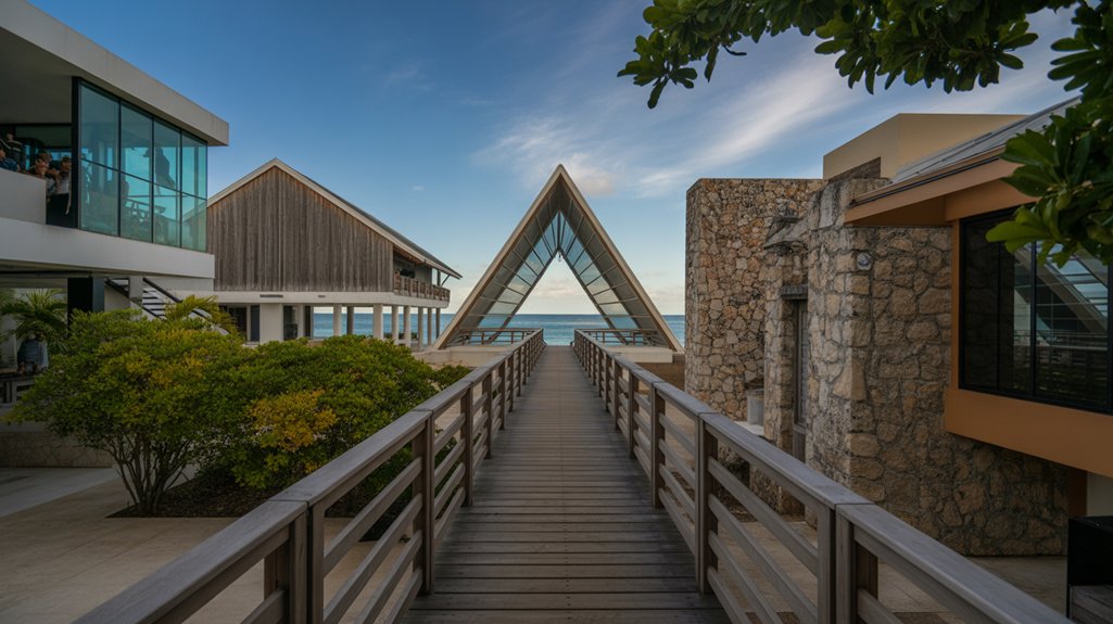 swim with dolphins adventure