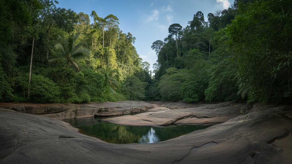 trekking taman negara rainforest adventure