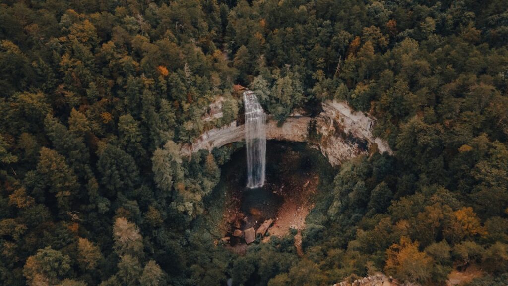 10 Relaxing Places in Tennessee Perfect for Nature Lovers