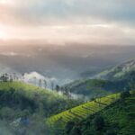 The Best Relaxing Places In India To Soothe Your Soul