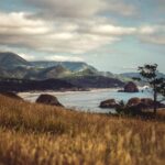 10 Quiet Places Along A Shore For Complete Tranquility
