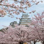 12 Beautiful Places in Japan for Cherry Blossom Season