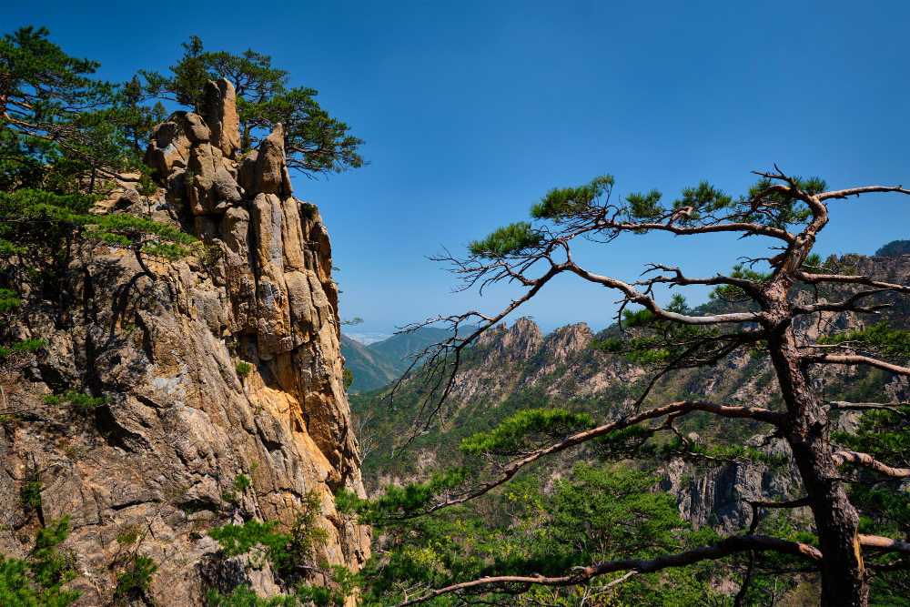11 Beautiful Places in Korea to See This Autumn