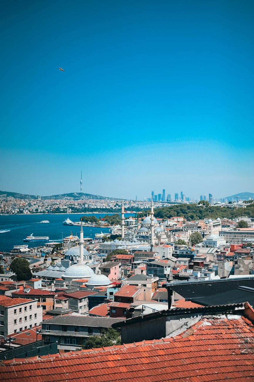 city buildings near sea