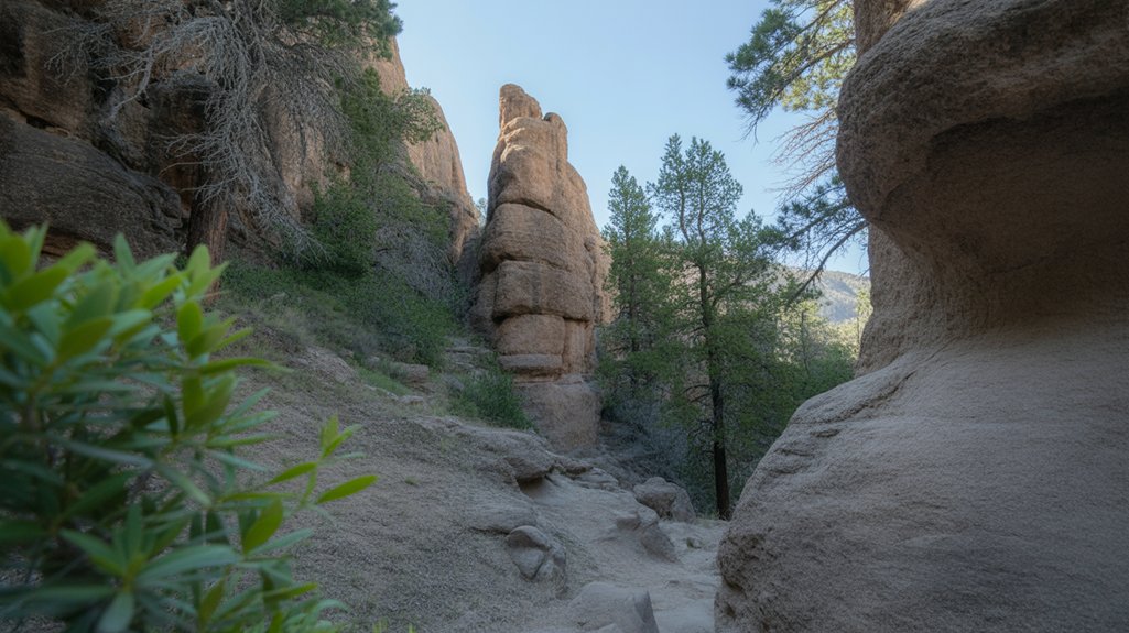 scenic trail inspires creativity