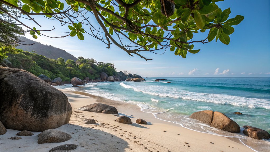 Solo Beach Vacation for Relaxation and Coastal Escapes