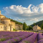 lavender fields and villages