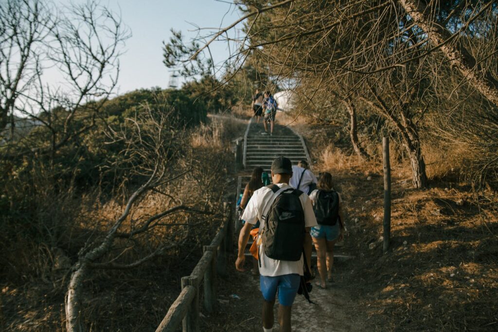 Solo Travel Organizations for Group and Solo Options
