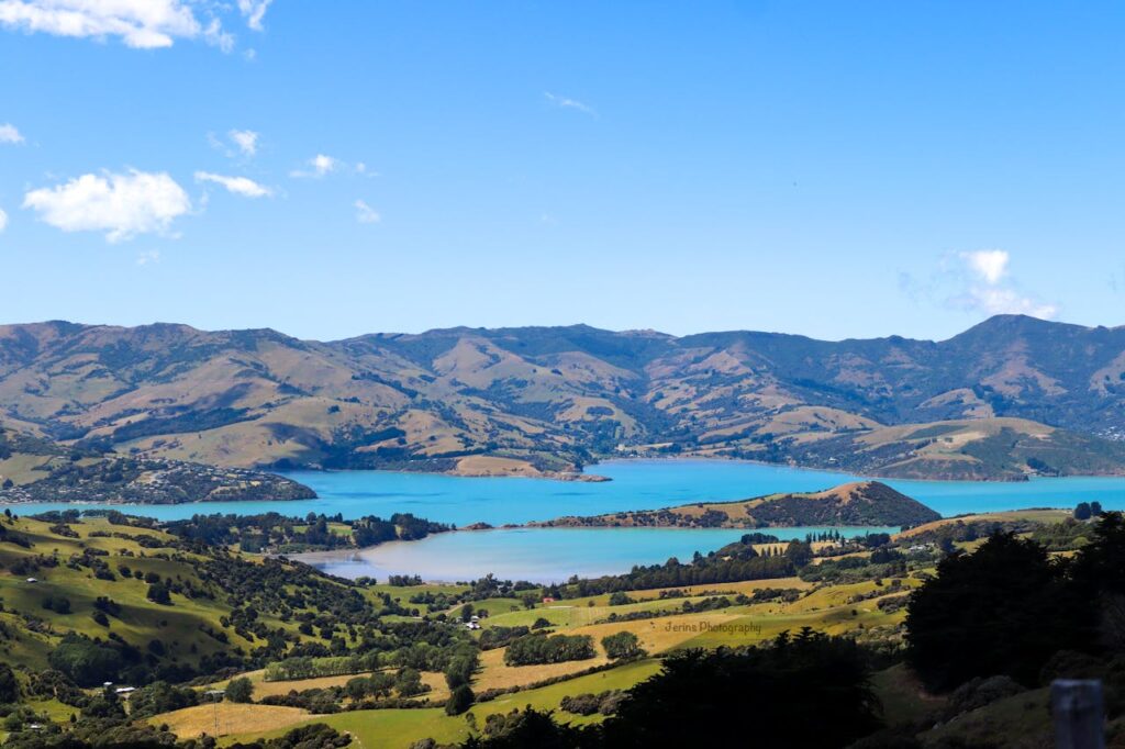 Solo Travel in New Zealand’s South Island Adventure