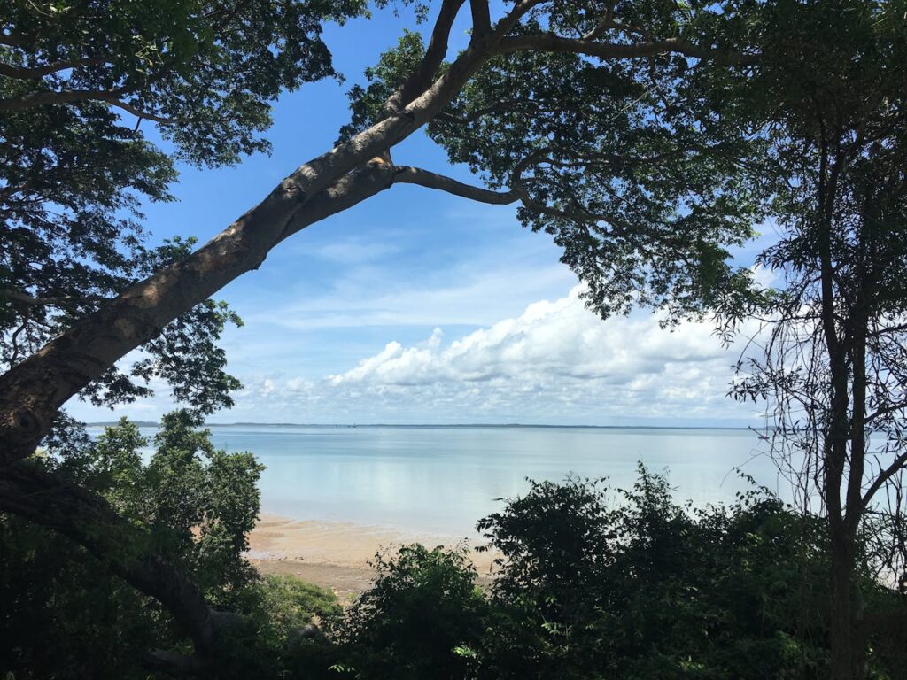Solo Travel in Darwin: Nature, Wildlife, and Culture