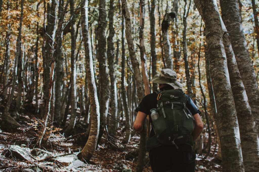 Hiking Trips for Singles in Scenic Destinations