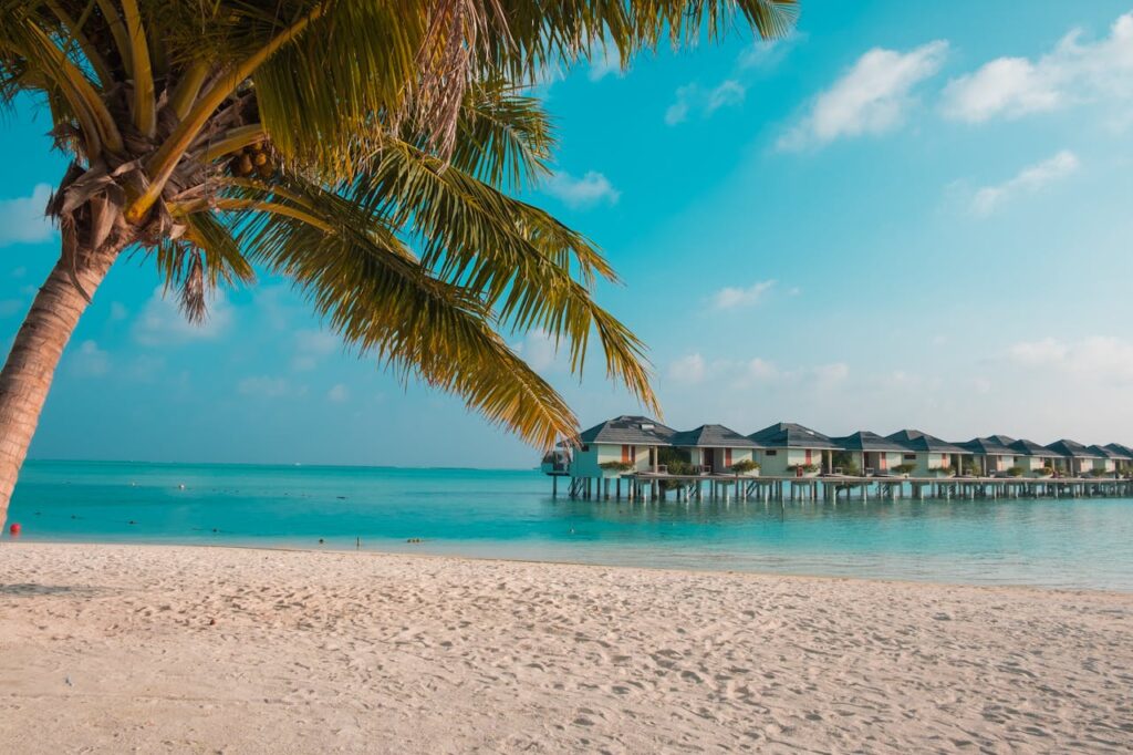 Solo All Inclusive Holidays for Stress Free Travel