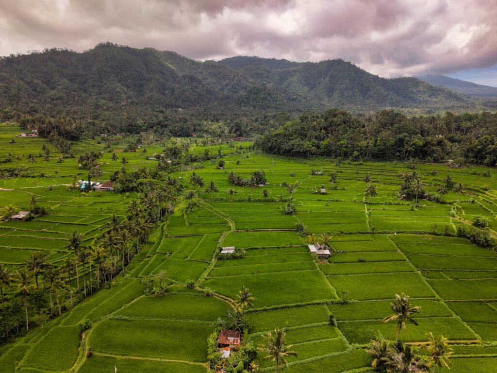 Solo Female Travel in Bali: Wellness & Adventure Combined
