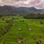Solo Female Travel in Bali: Wellness & Adventure Combined