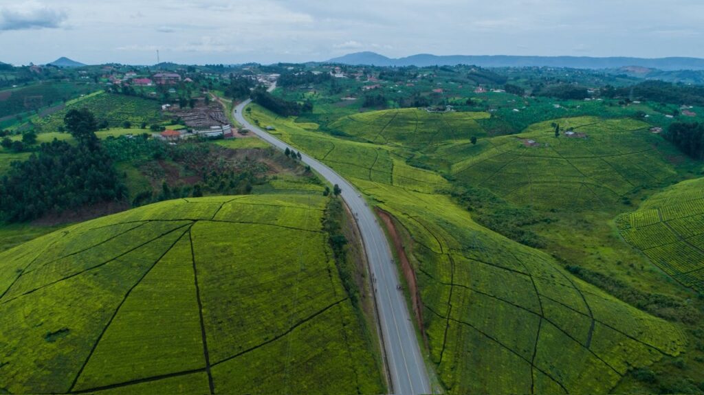 Solo Female Travel in Uganda: Wildlife and Nature