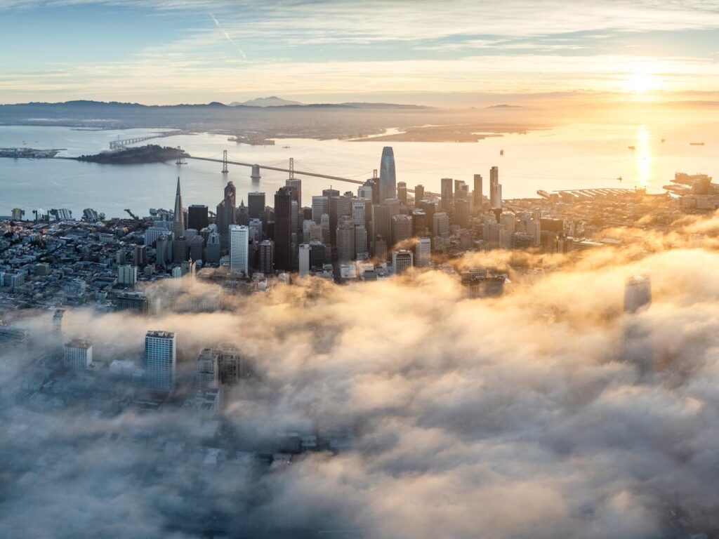 Solo Travel in San Francisco: City Views and Culture