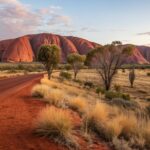 red center adventure guide
