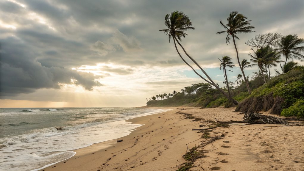 Solo Beach Trip Ideas for Peaceful Coastal Getaways