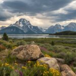 yellowstone and grand tetons